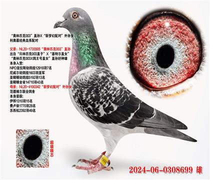 Wƥ003ֱOX(mng)䌦(du)OŮ