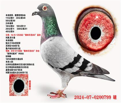 40056  W003ֱOXW003ֱOŮ