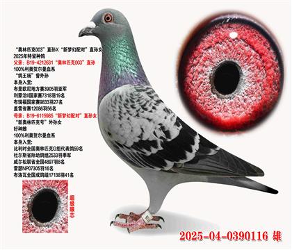 Wƥ003ֱOX(mng)䌦(du)ֱOŮ