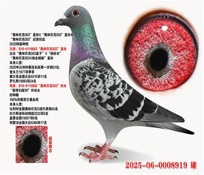 Wƥ003ֱOXWƥ003ֱOŮ