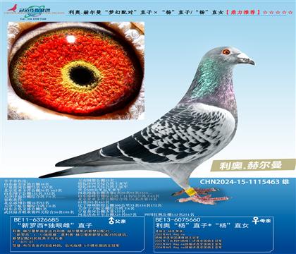 W.ՠ(mng)䌦(du)ֱӡֱ/ֱŮ