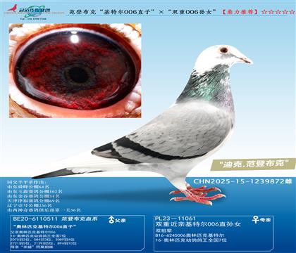 ǲˡؠ006ֱӡp006OŮ