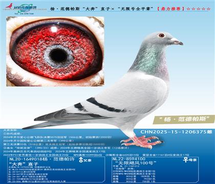 ˹󱼡ֱӡo̖(ho)ȫƽ݅