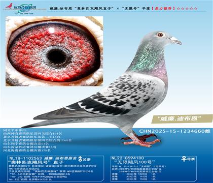 .ϲWƥZL(fng)ֱӡo̖(ho)ƽ݅