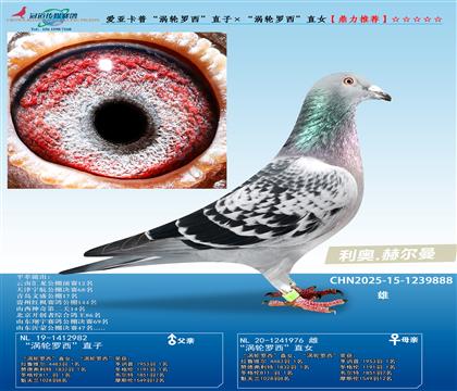 ہաu݆_ֱӡu݆_ֱŮ