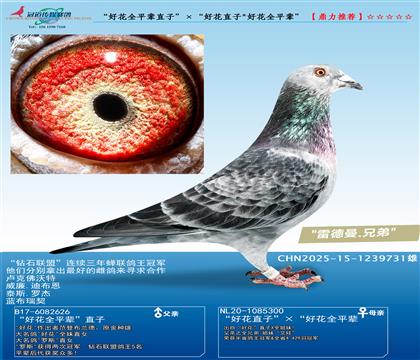 ûȫƽֱ݅ӡûֱӡûȫƽ݅