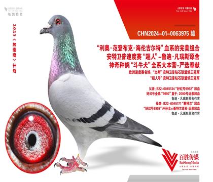 ؠ9992ؽHѪ-0063975