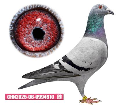 蓋比-魯?shù)衔髂?10