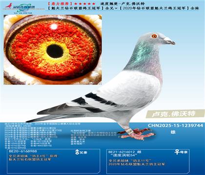 R.أm@ʯ(lin)܊ȫ֡2020@ʯ