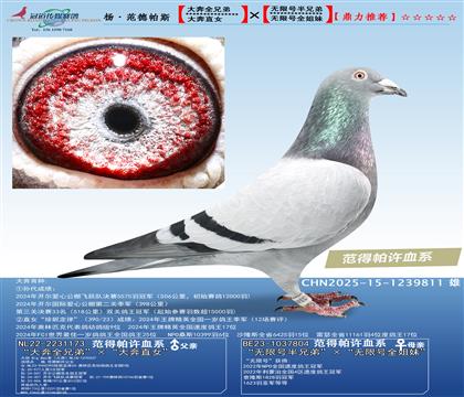 ˹Ѫϵ󱼽Ho̖(ho)H