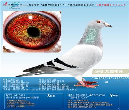 ǲˡؠ006ֱӡؠHĸ056