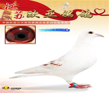 ̩ɽ̖pؽH989X̩ɽ̖981H