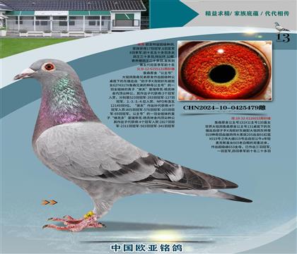 ղɭԭᡰ̖131XֱŮ653