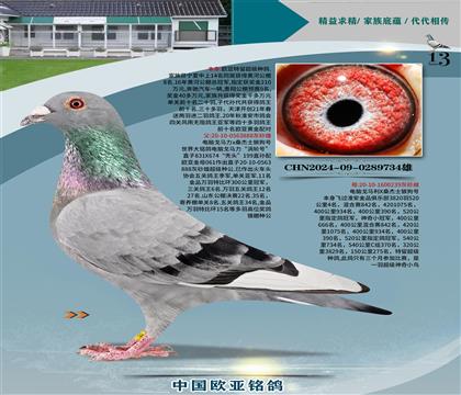 XɣʿN888XֱŮ239С܊H