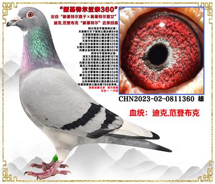 c(din)]Ͽ.ǲˡ»ؠֱӡ»ؠֱŮѪ