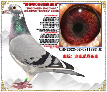 c(din)]ǲˡؠ006ֱӡؠ006OŮ