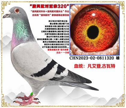 c(din)]ءL(fng)䌦OL(fng)䌦ֱOŮѪ