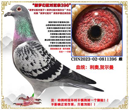 (c(din)]W䌦ֱӡ䌦ֱOŮ