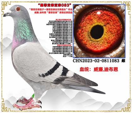 c(din)].ϲīƶֱӡīƶȫֱֵŮ