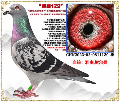 c(din)]WWƥ᠖˹ֱXϿWֱOŮ