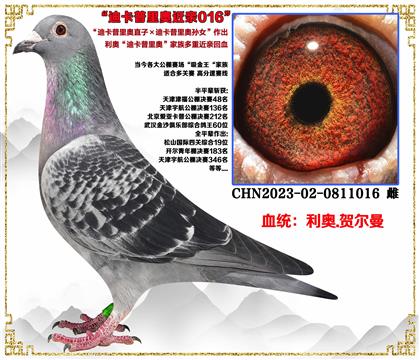 c(din)]WϿWֱXϿWֱOŮHѪ