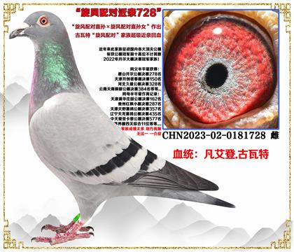 c(din)]ءL(fng)䌦OL(fng)䌦ֱOŮHѪ