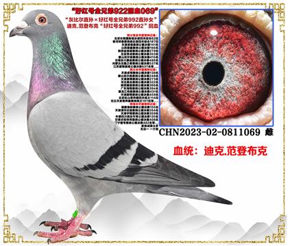 c(din)]ǲˡұȠֱOüt̖ȫֵ992ֱOŮ