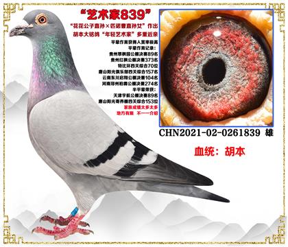 ֱOƥZֱOŮpˇg(sh)һѪ