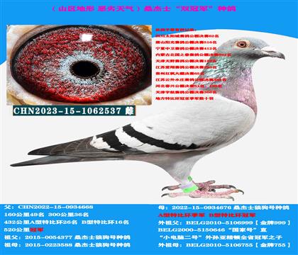 ɽ^(q) Կ̈́ڣP(gun)ِɣʿp܊