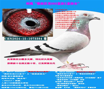 WWƥ003ֱOXWƥ003ֱOŮ