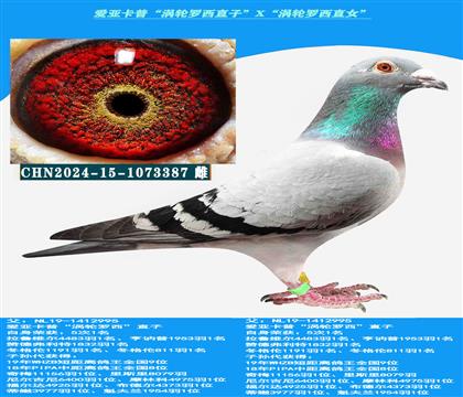 ہաu݆_ֱӡXu݆_ֱŮ