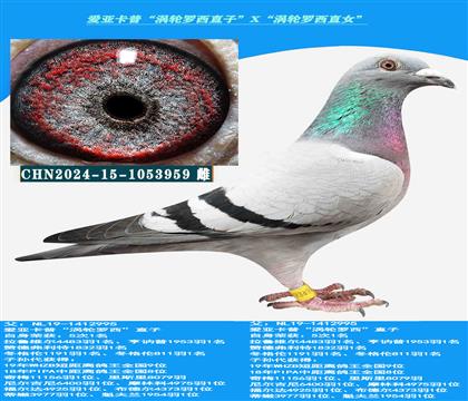 ہաu݆_ֱӡXu݆_ֱŮ