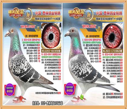 ؠֱOؠOŮH.2253܊ֱŮ