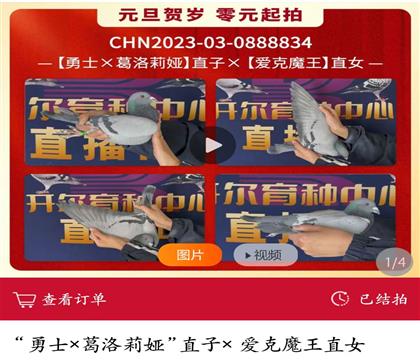 _(ki)ʿXIֱ(i)ħֱŮ834