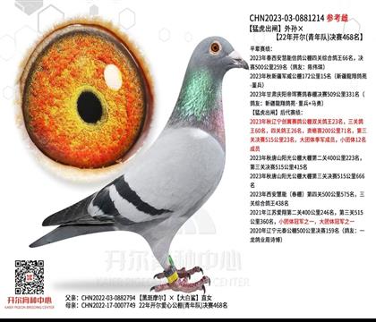 _(ki)ͻlOX22_(ki)Qِ468