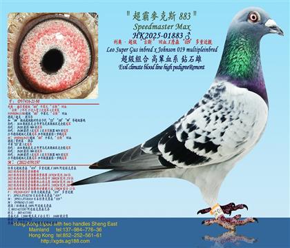 W˹ѪX ղɭ019ؽHX ղɭ