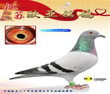 wԭ?sh)ֱ?29XW̖(ho)165