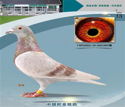 Ͽ.ǲѪy(tng)ؠ233X260(j)䌦(du)