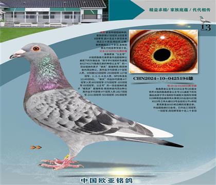 ղɭԭᡰ̖(ho)131XֱŮ653