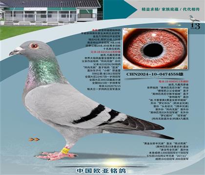 Ͽ.ԭ111X611Wƥ᠖˹