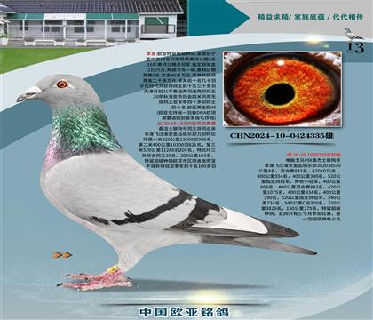 ɣʿ090XXXɣʿ061ֱŮ