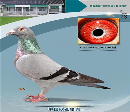 Ǳԭả143XʼһֱŮ334