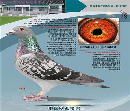 Ǳԭả136XʼһֱŮ358