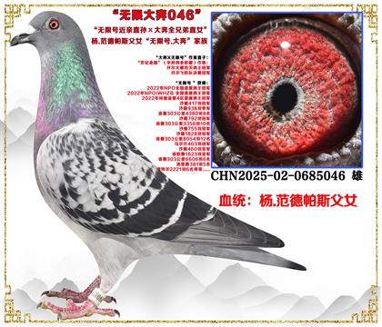 صƼ .˹޺ŽֱȫֱֵŮ