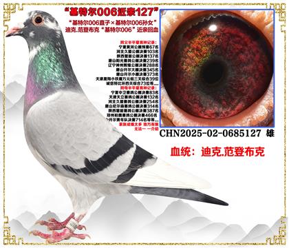 صƼǲˡض006ֱӡض006Ů