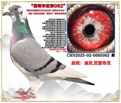 Ͽ.ǲˡƥ˻ض006ȫֵܡضŮ