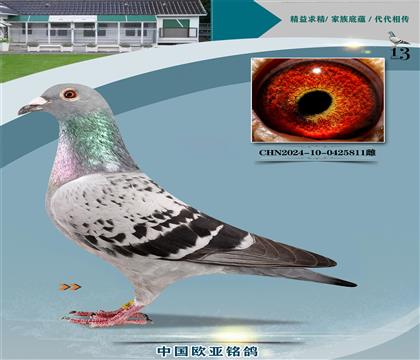 Ͽ˷ǲԭ440Xƽŷ40000