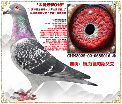 (صƼ.˹󱼰ֱֵӡȫֱֵŮ