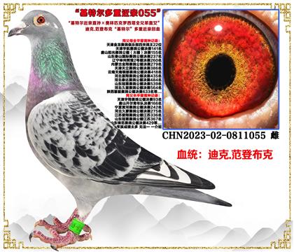 Ͽ.ǲˡضֱƥȫֱֵŮ