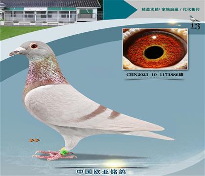 Ͽ.ǲѪͳض295Xضֱ394